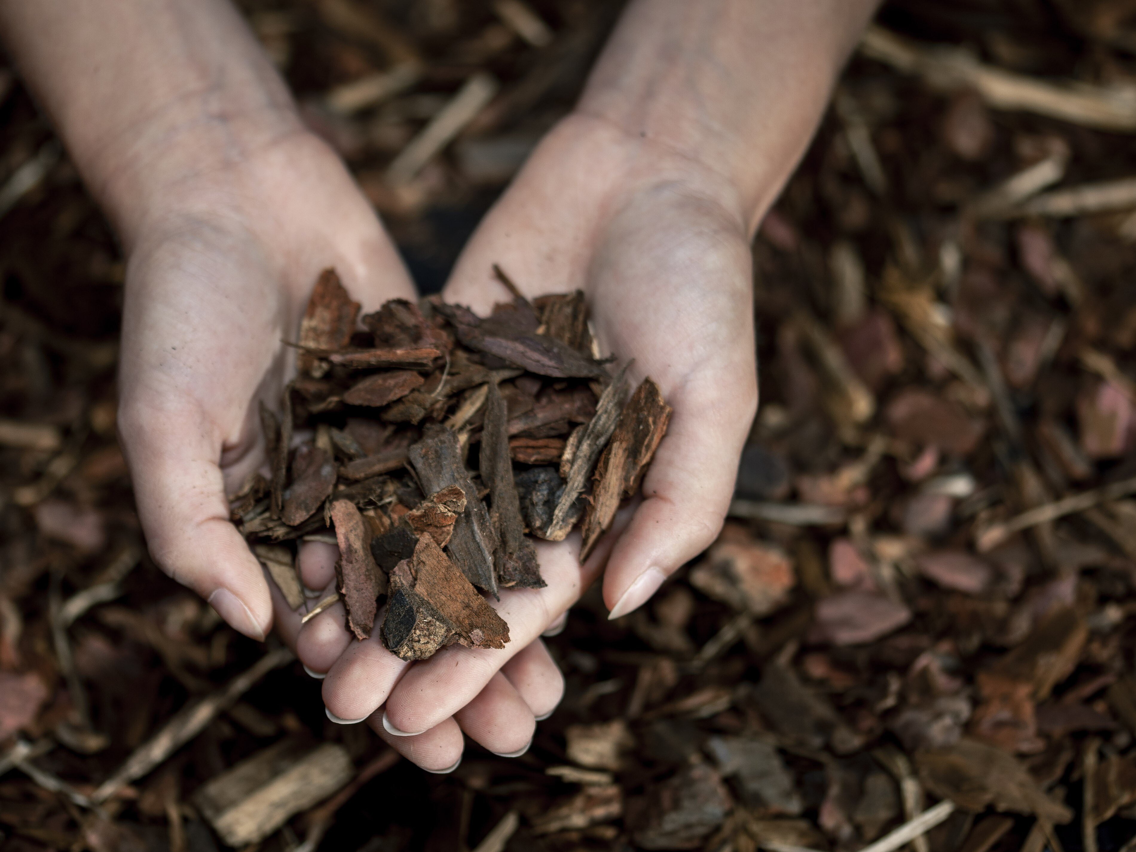 Rindenmulch